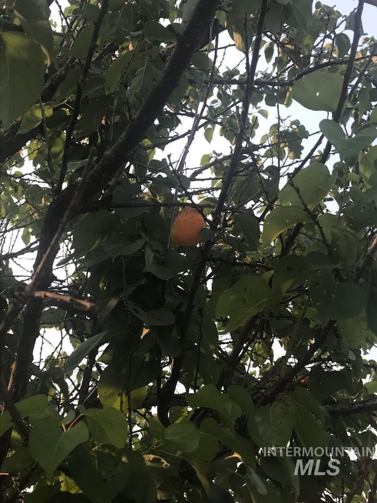 120 Three Bear Lane Property Photo 33