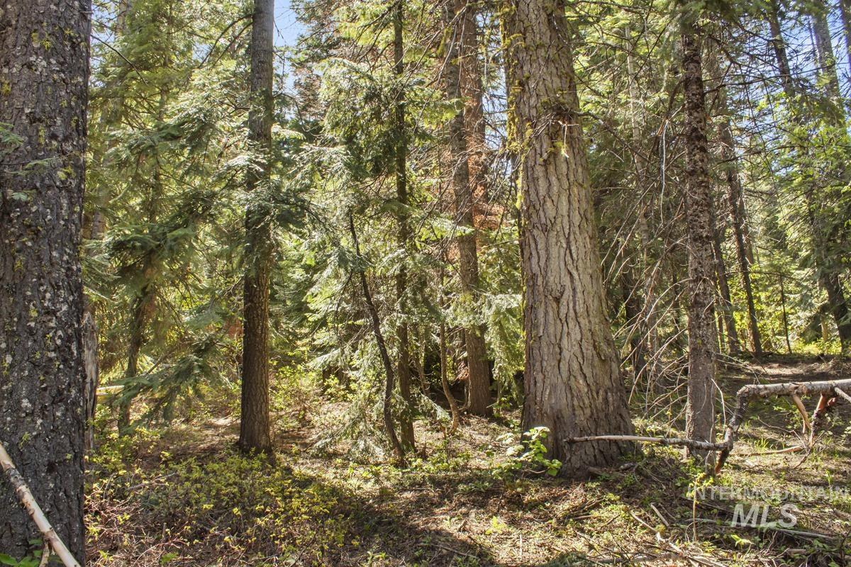 80 Arling Trail Property Photo 4