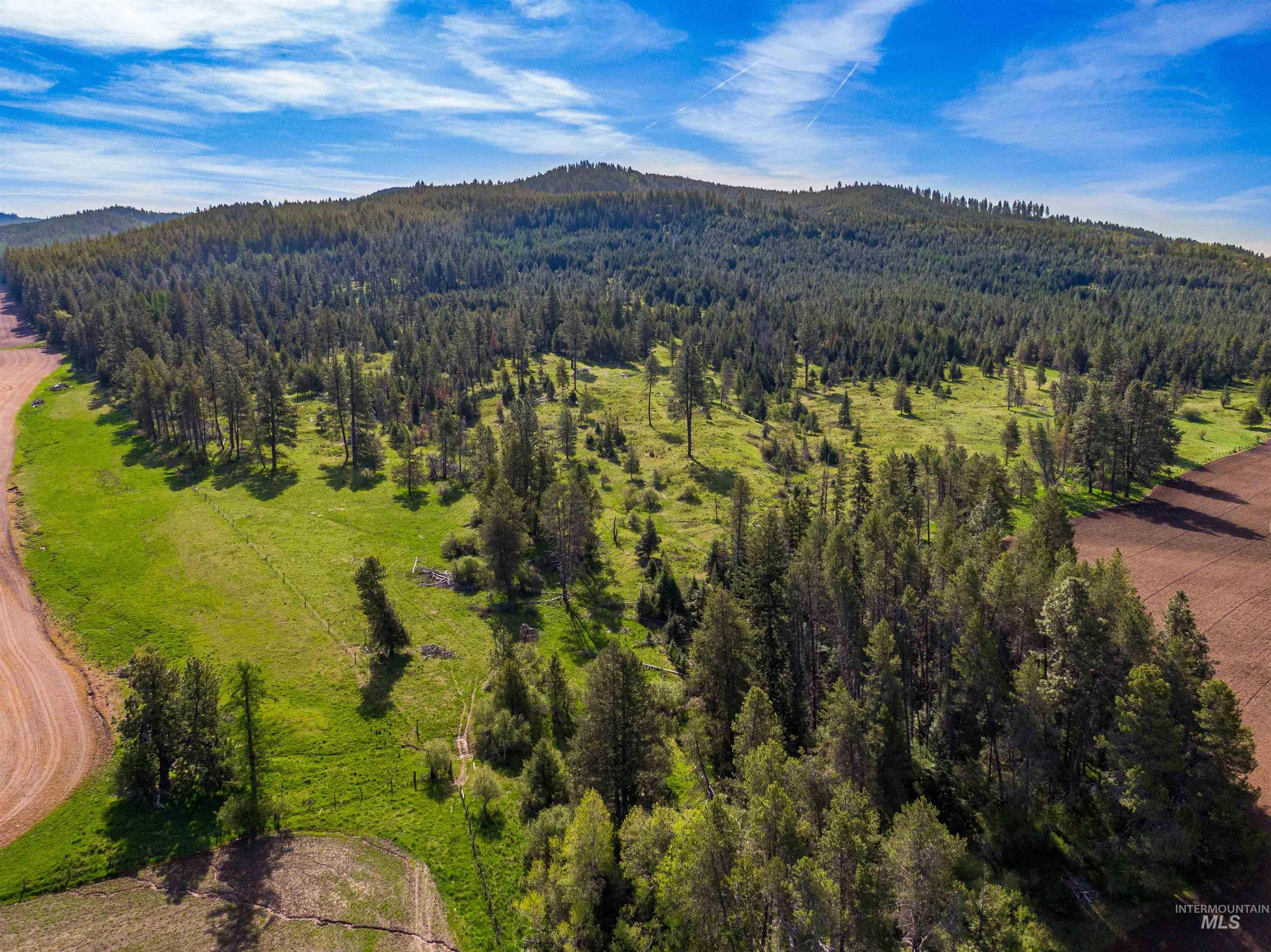 1101 Ruby Creek Rd Property Photo 13