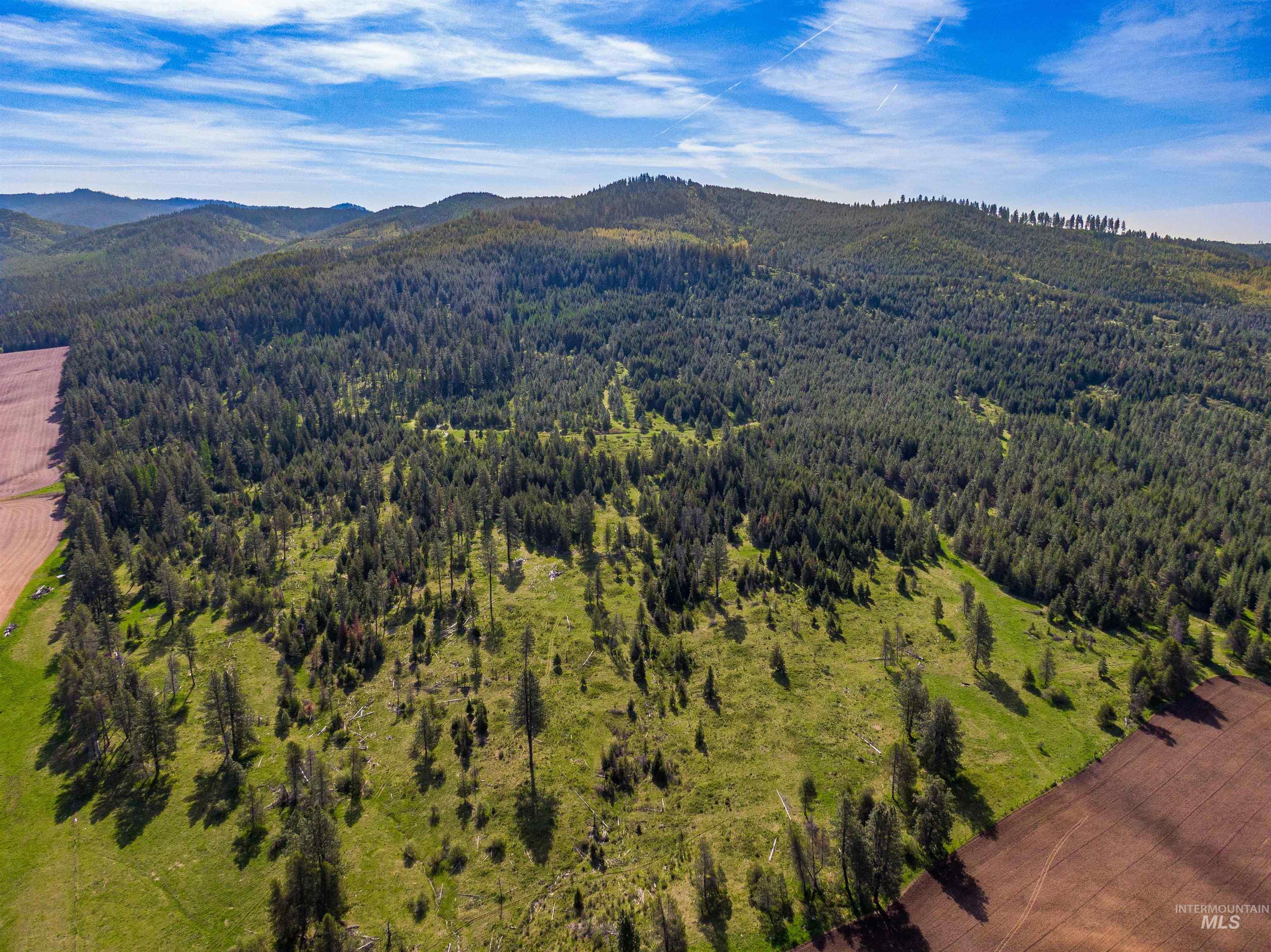 1101 Ruby Creek Rd Property Photo 14