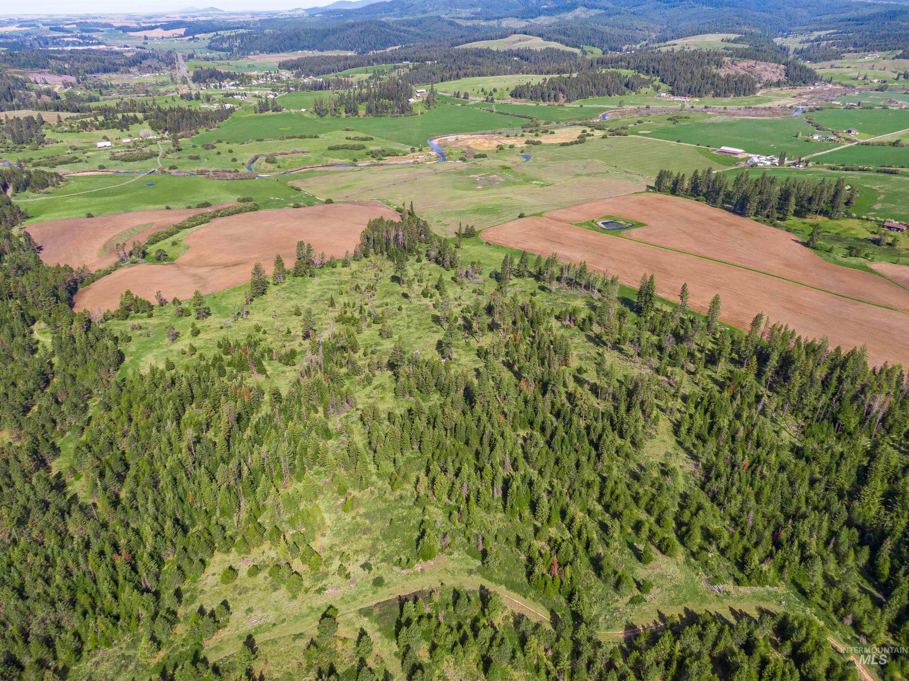 1101 Ruby Creek Rd Property Photo 17