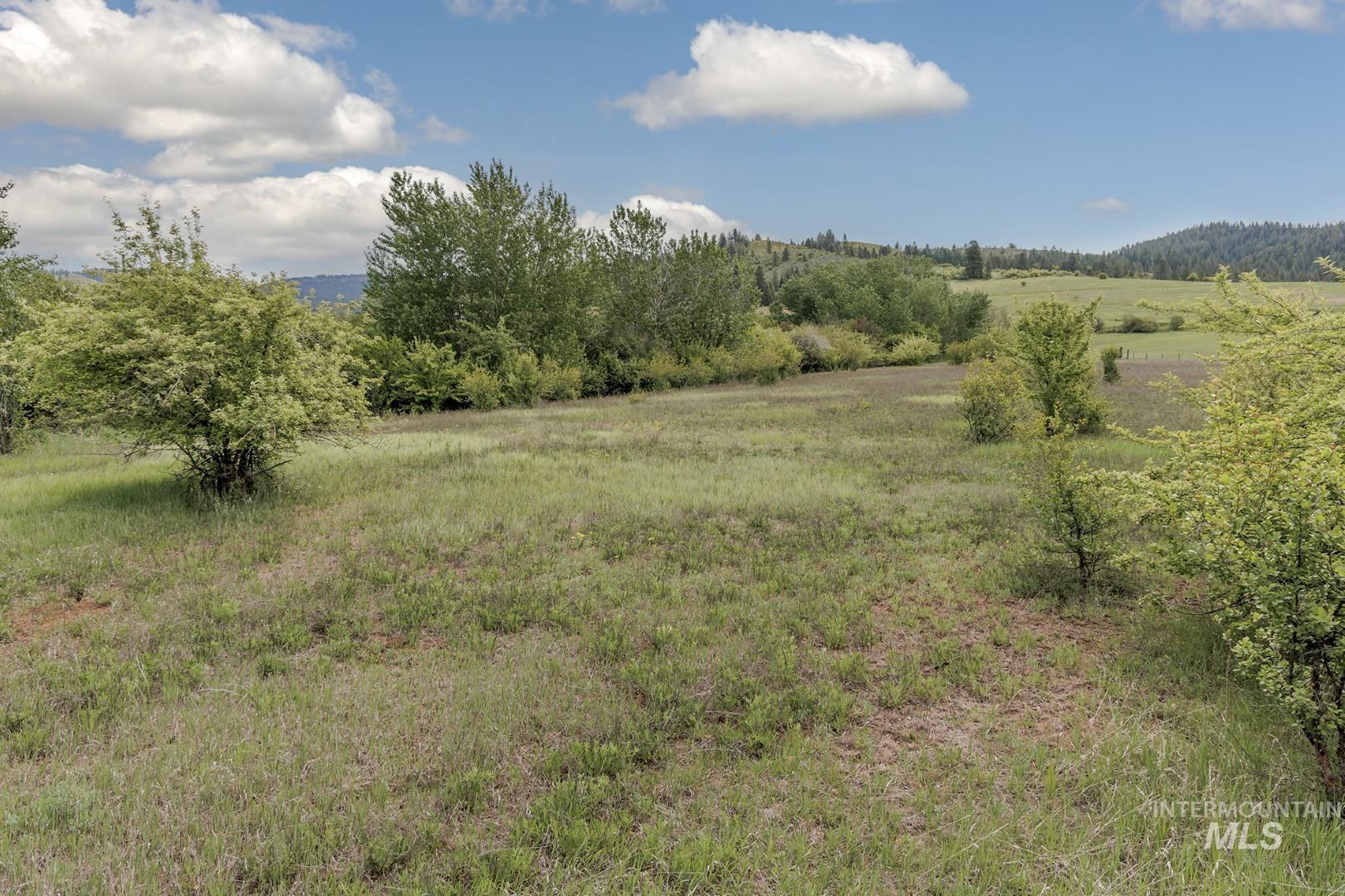 2445 Orchard Rd Property Photo 45