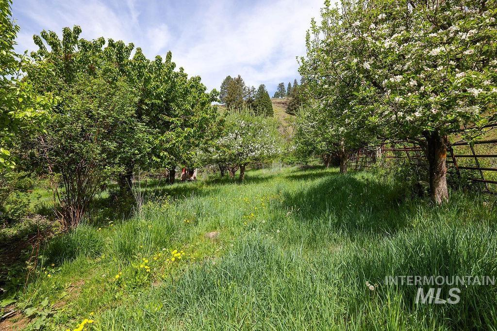 559 Kessler Creek Rd Property Photo 24