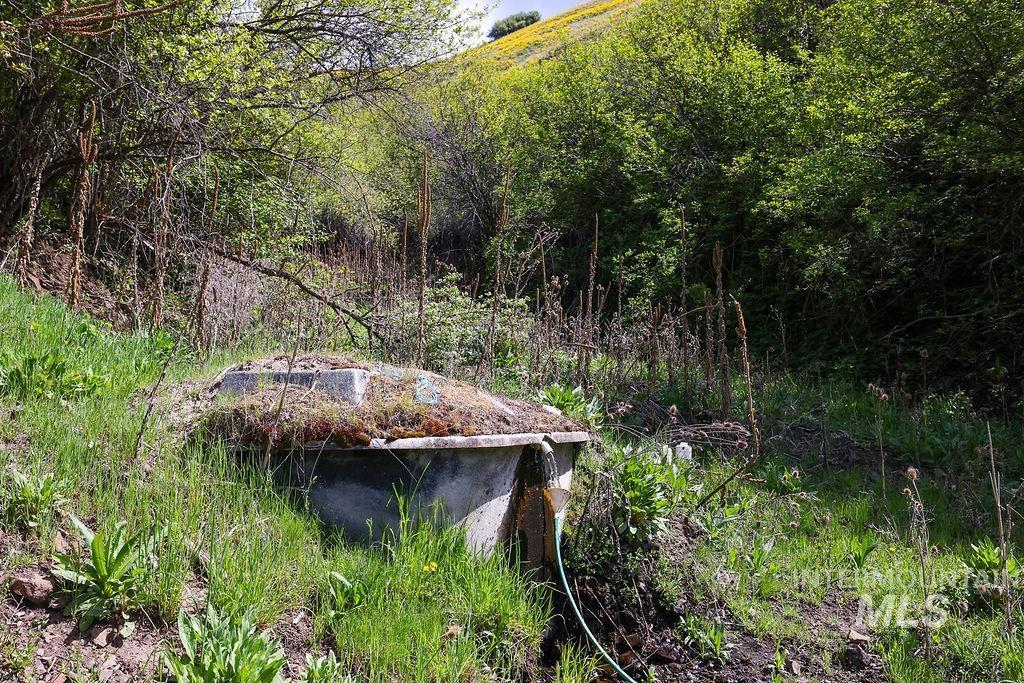 559 Kessler Creek Rd Property Photo 25