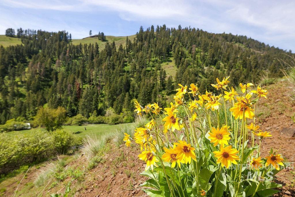 559 Kessler Creek Rd Property Photo 26