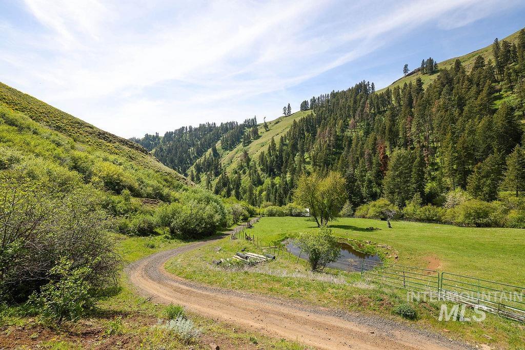 559 Kessler Creek Rd Property Photo 27