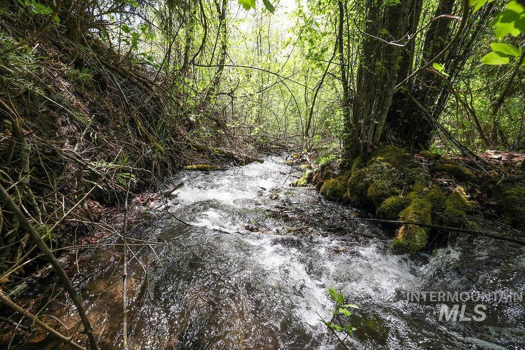 559 Kessler Creek Rd Property Photo 28