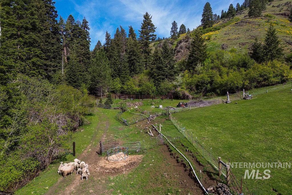 559 Kessler Creek Rd Property Photo 31