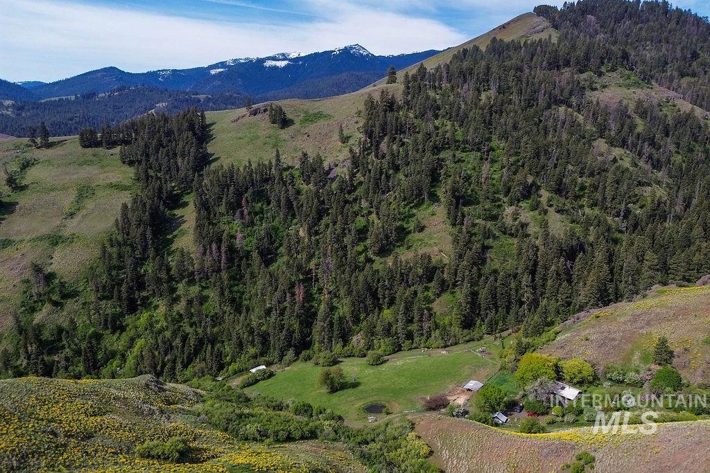 559 Kessler Creek Rd Property Photo 33