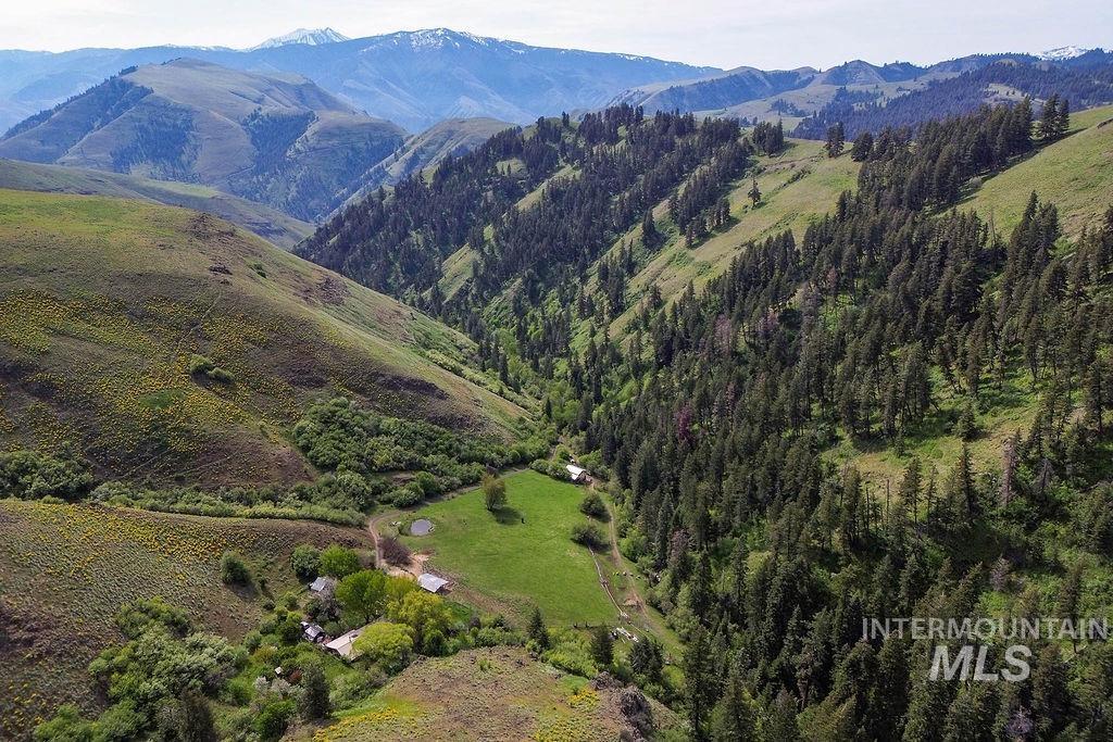 559 Kessler Creek Rd Property Photo 35