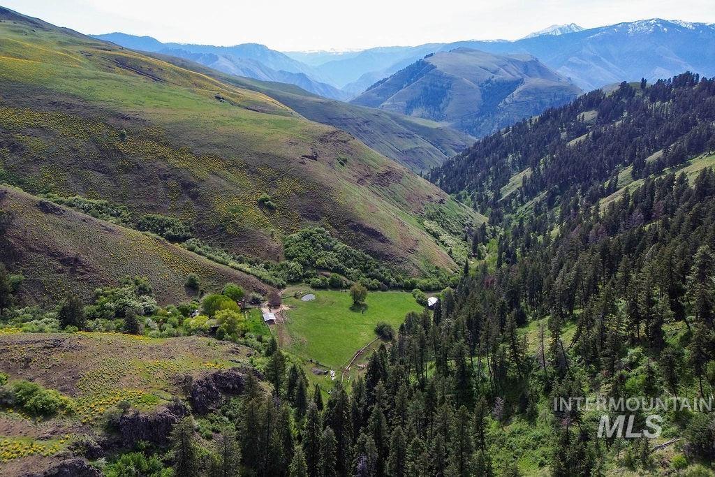 559 Kessler Creek Rd Property Photo 36