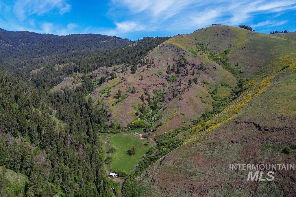 559 Kessler Creek Rd Property Photo 38