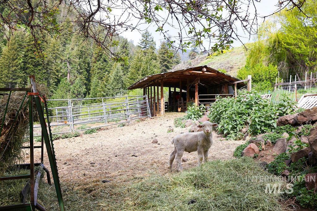 559 Kessler Creek Rd Property Photo 39