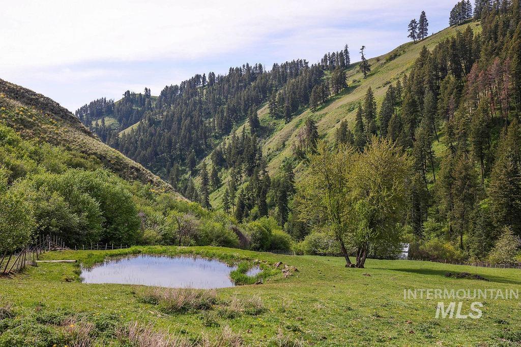 559 Kessler Creek Rd Property Photo 40