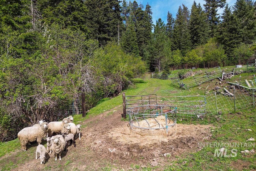 559 Kessler Creek Rd Property Photo 41