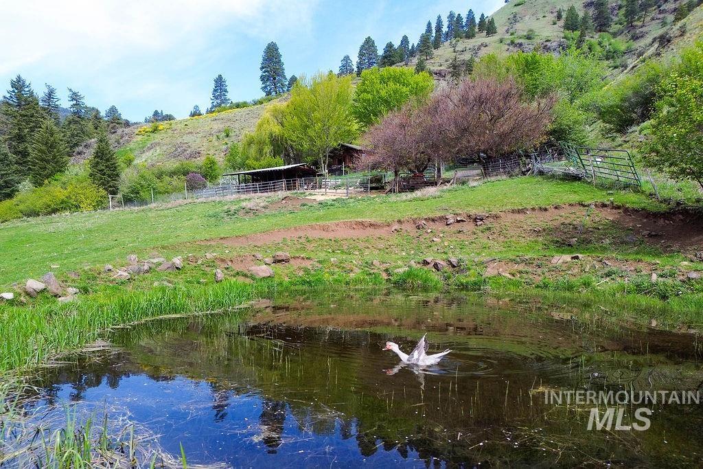 559 Kessler Creek Rd Property Photo 43