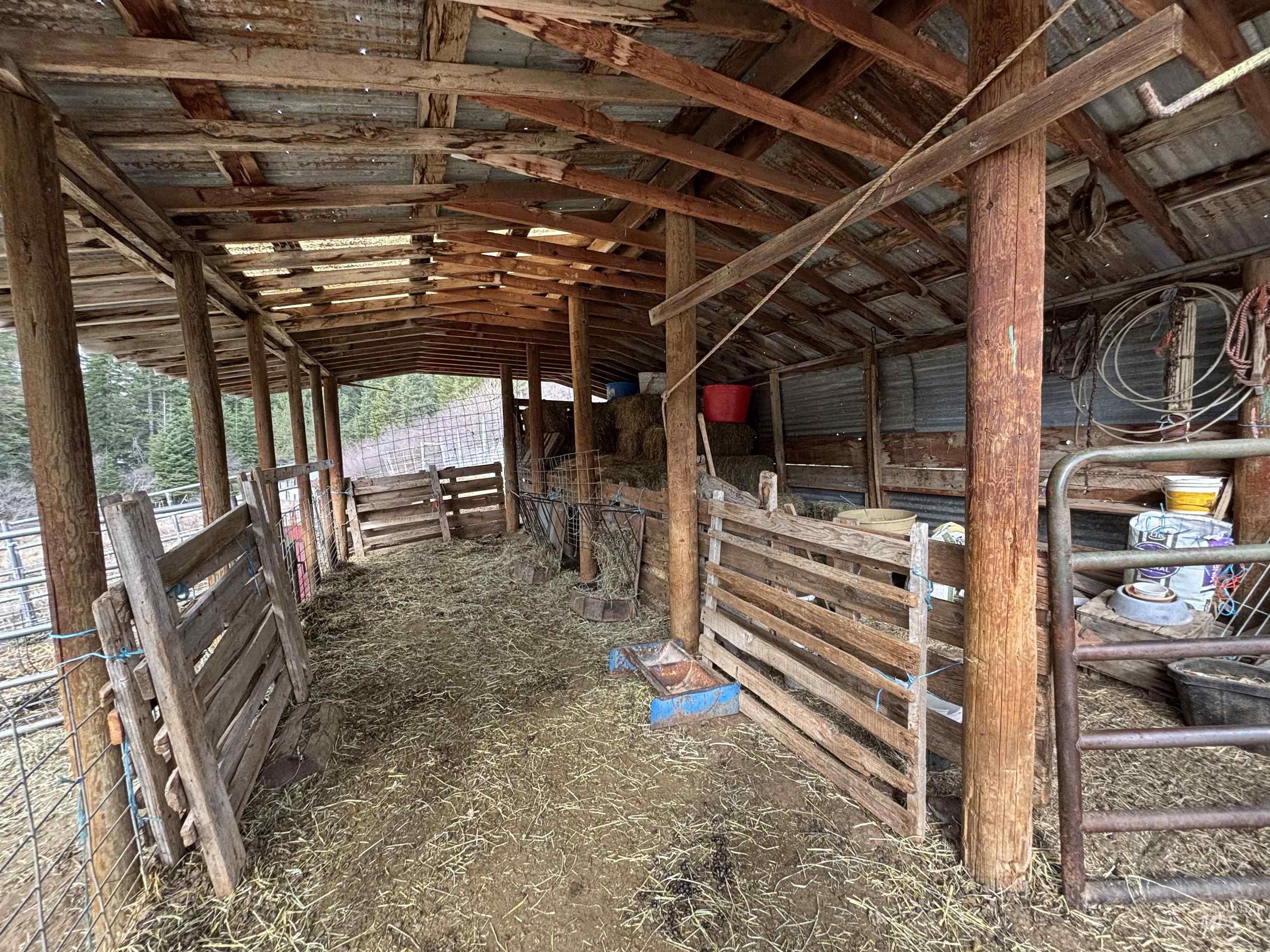 559 Kessler Creek Rd Property Photo 44