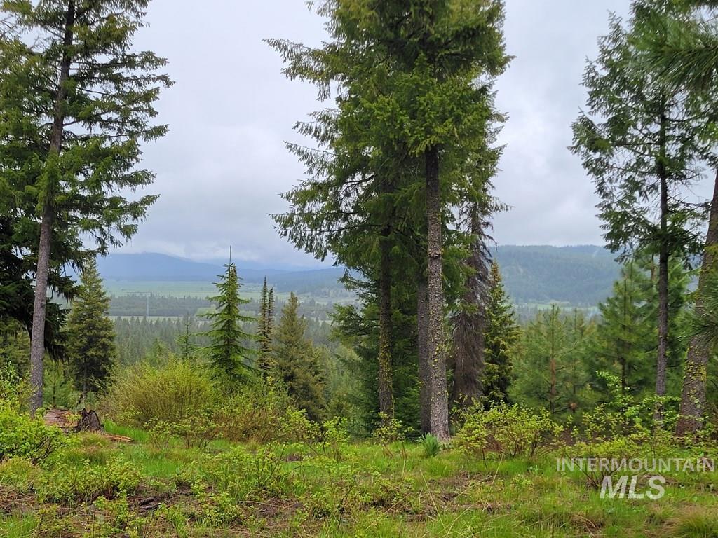 71 Coit Dr Property Photo 1