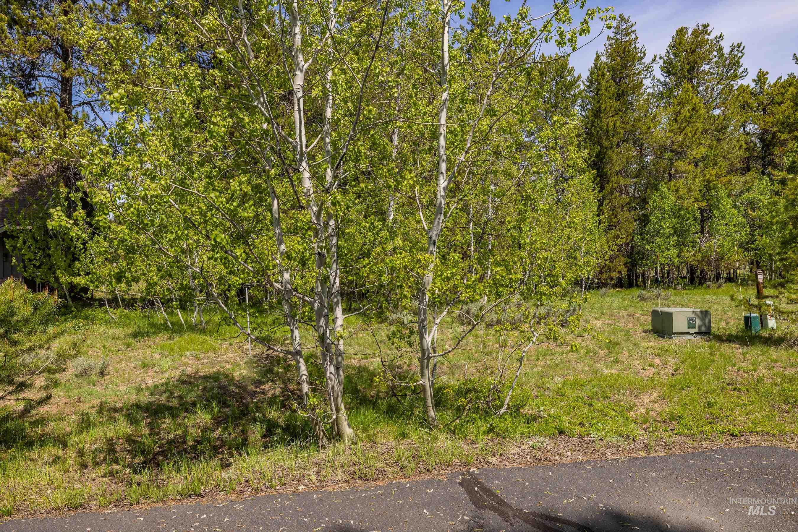 194 Morgan Property Photo 3