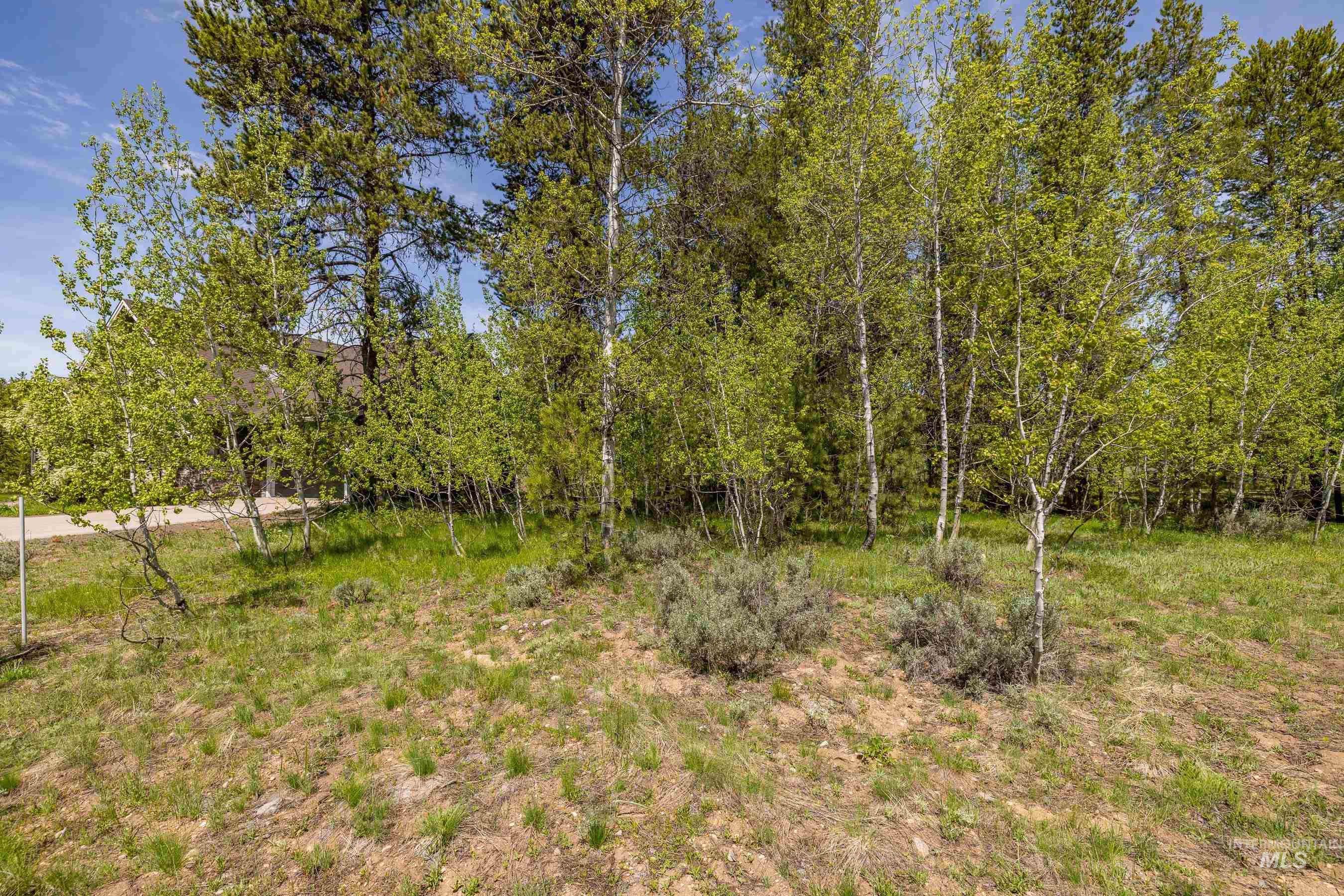 194 Morgan Property Photo 5