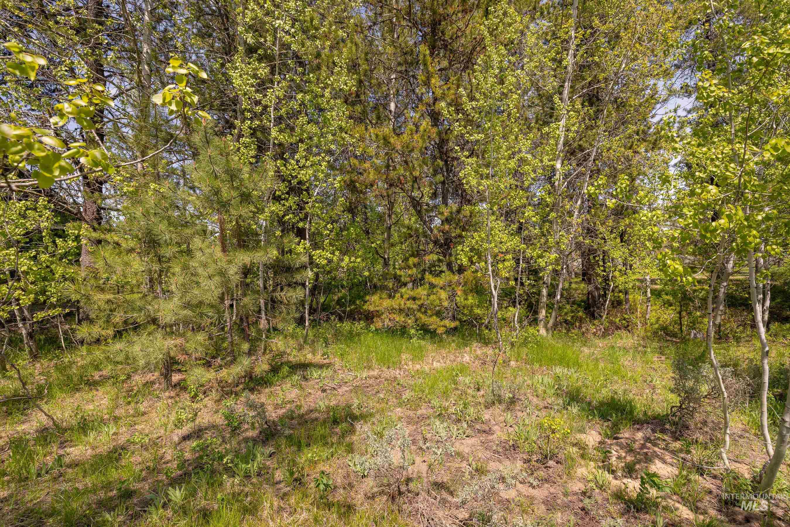194 Morgan Property Photo 6