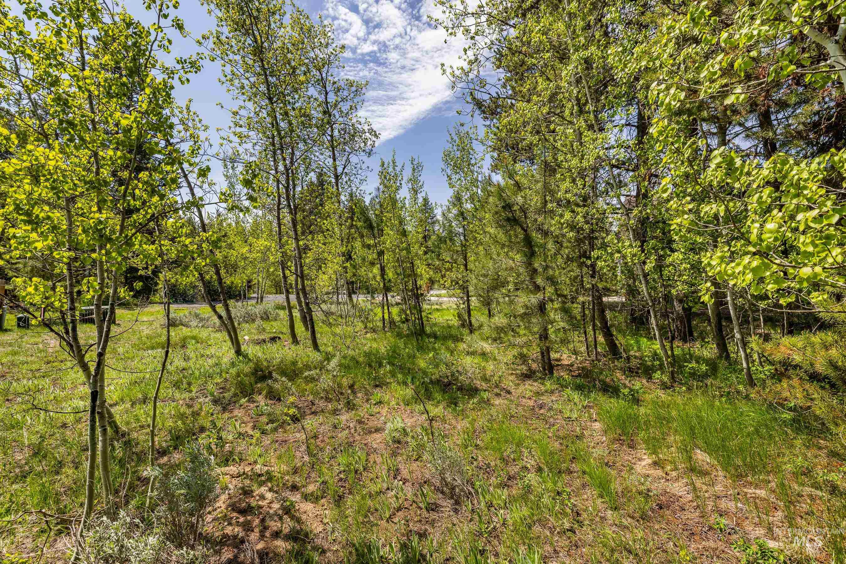 194 Morgan Property Photo 7