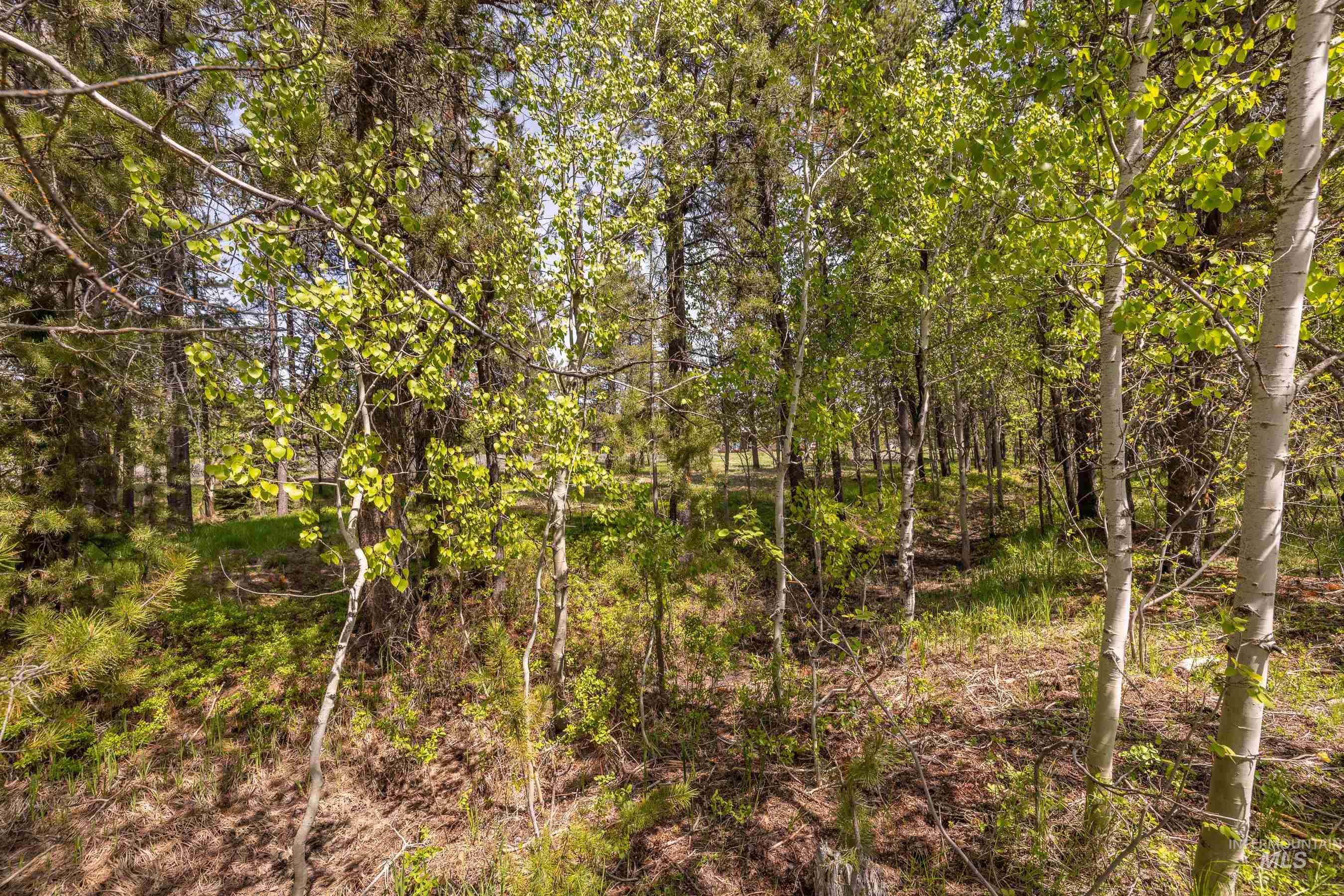 194 Morgan Property Photo 8