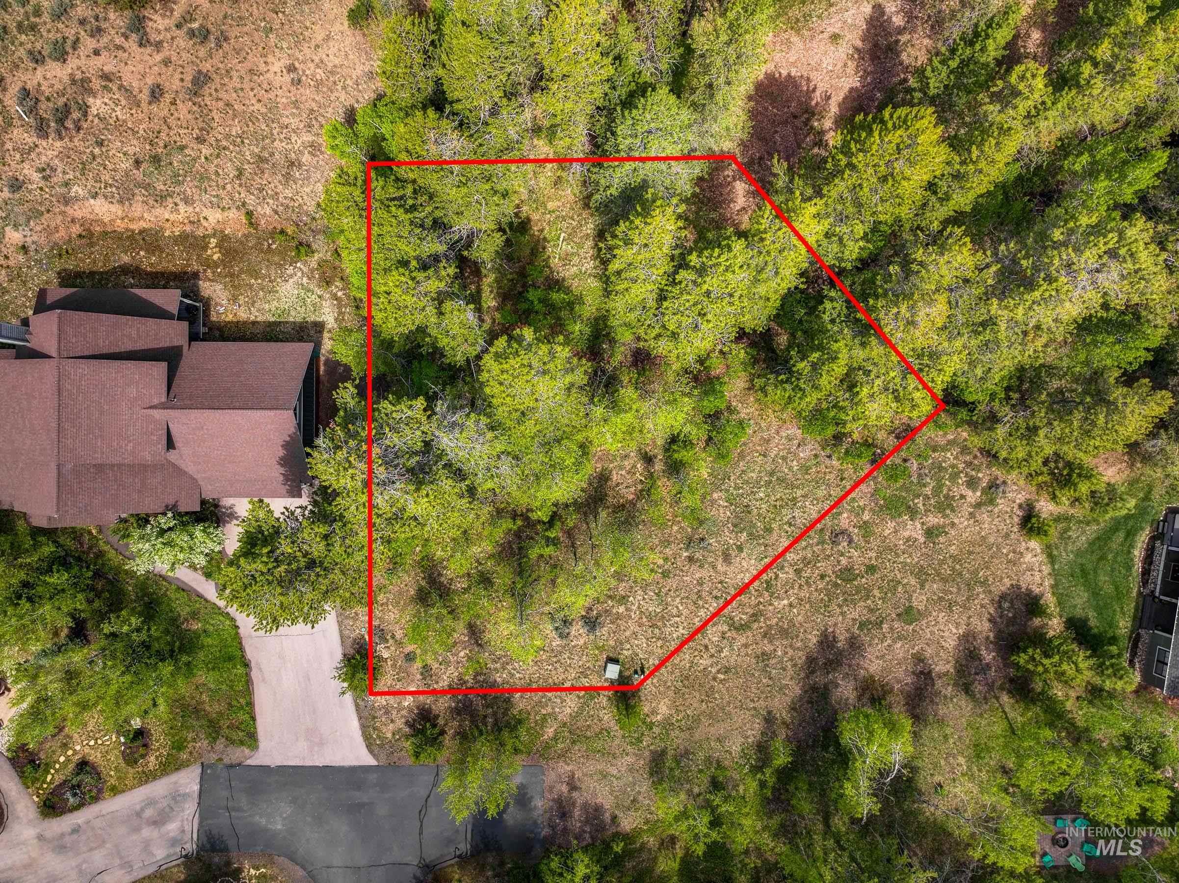 194 Morgan Property Photo 15