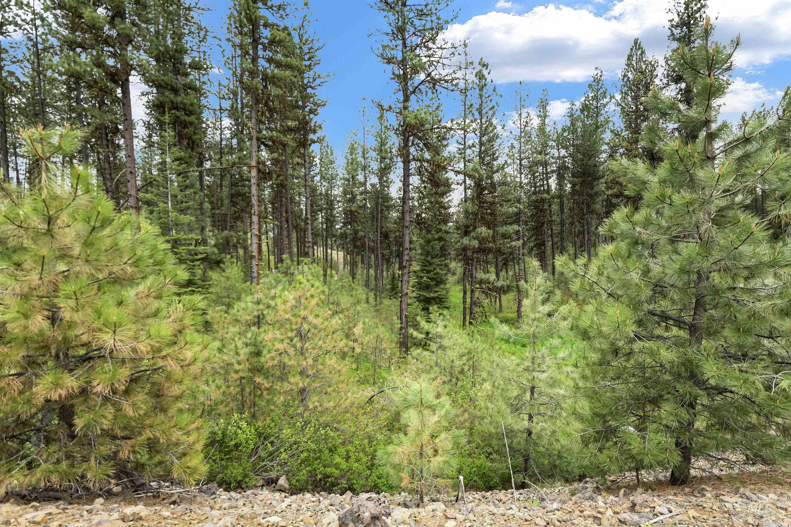 Lot 6 Block 1 Van Dorn Estates Property Photo 1