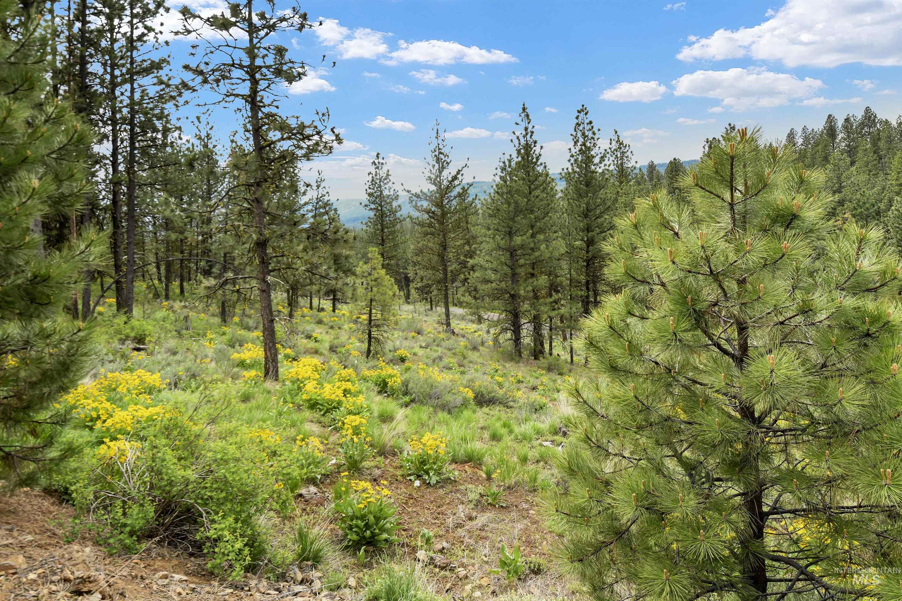 Lot 6 Block 1 Van Dorn Estates Property Photo 6