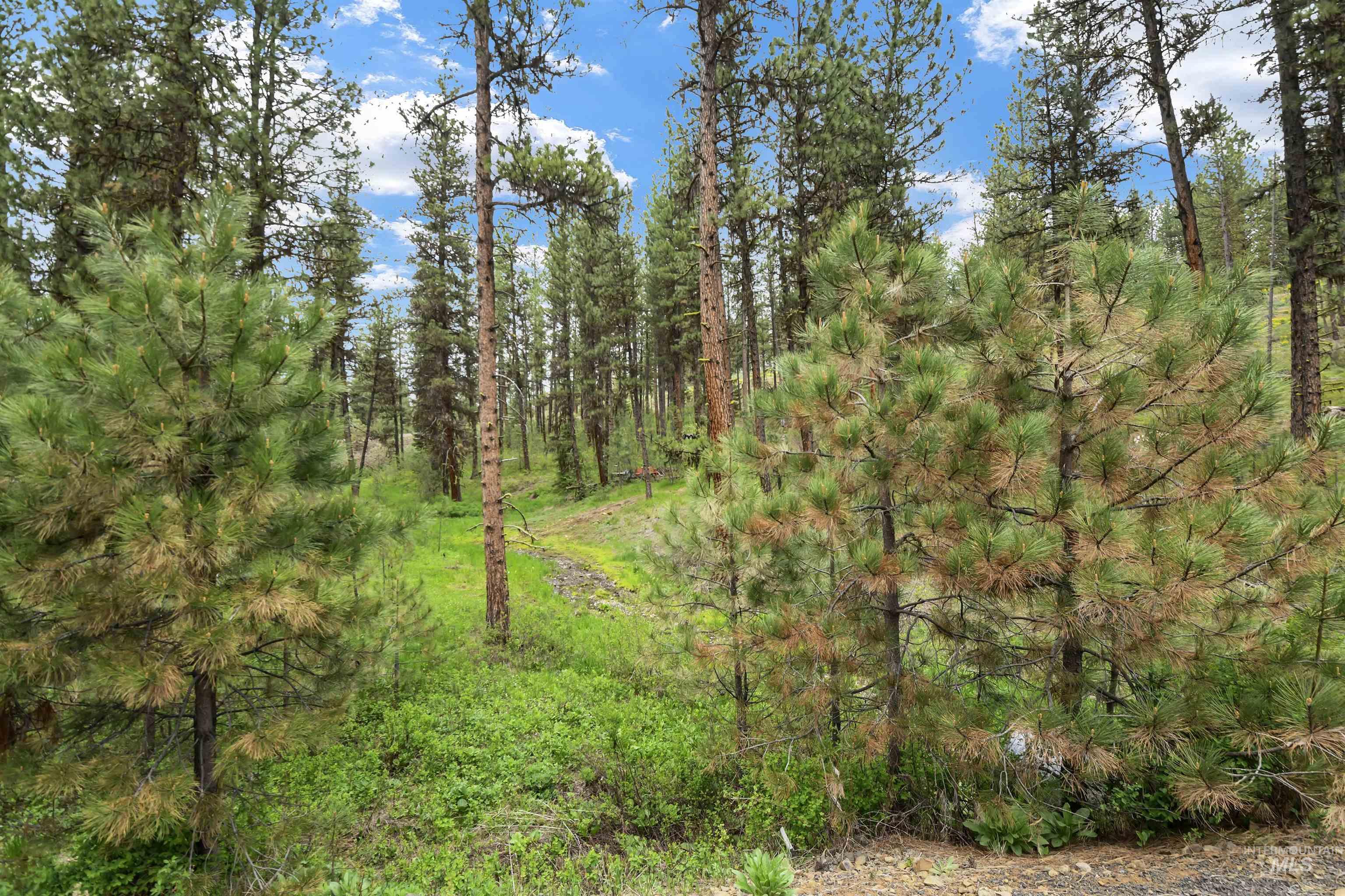 Lot 6 Block 1 Van Dorn Estates Property Photo 9