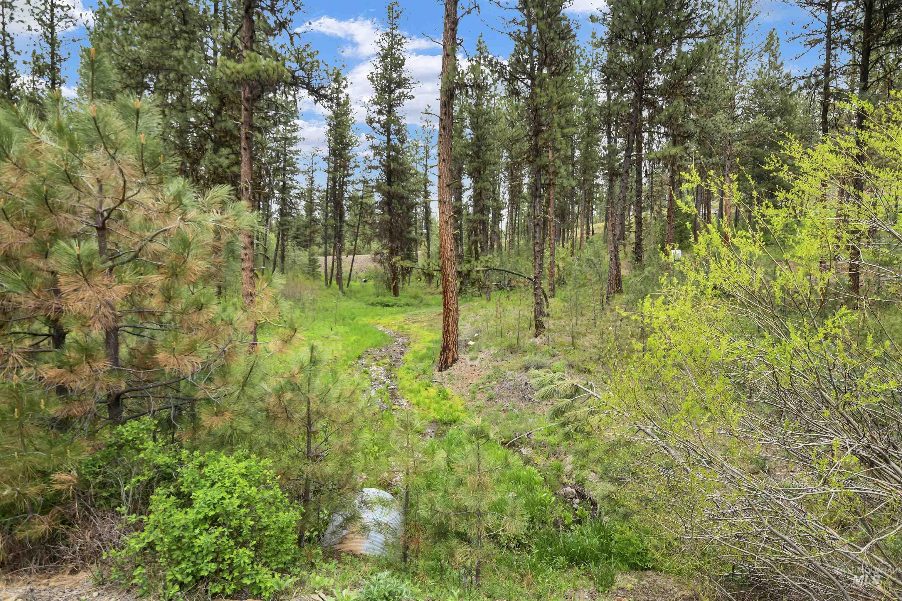 Lot 6 Block 1 Van Dorn Estates Property Photo 10