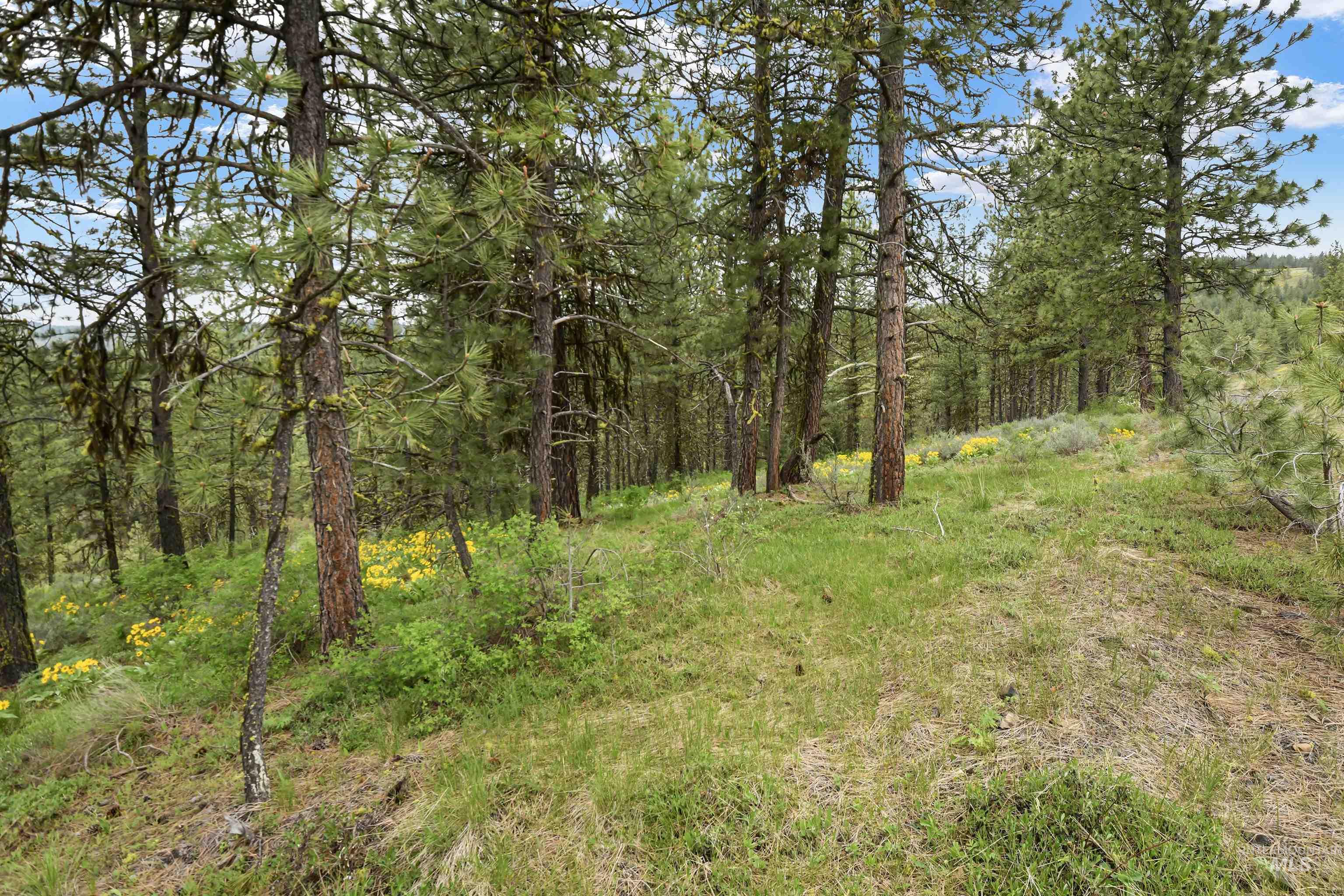 Lot 6 Block 1 Van Dorn Estates Property Photo 11