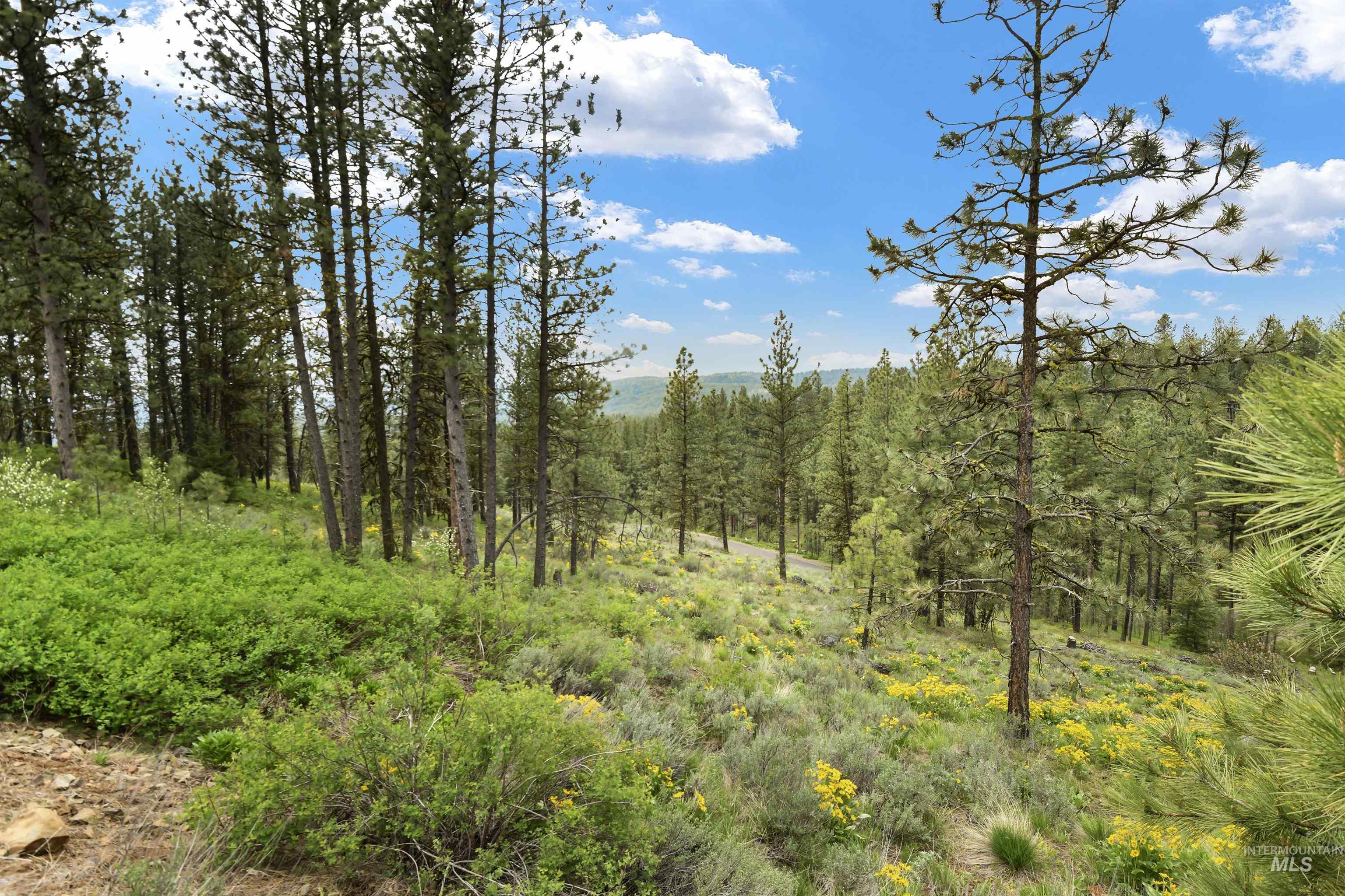 Lot 6 Block 1 Van Dorn Estates Property Photo 12