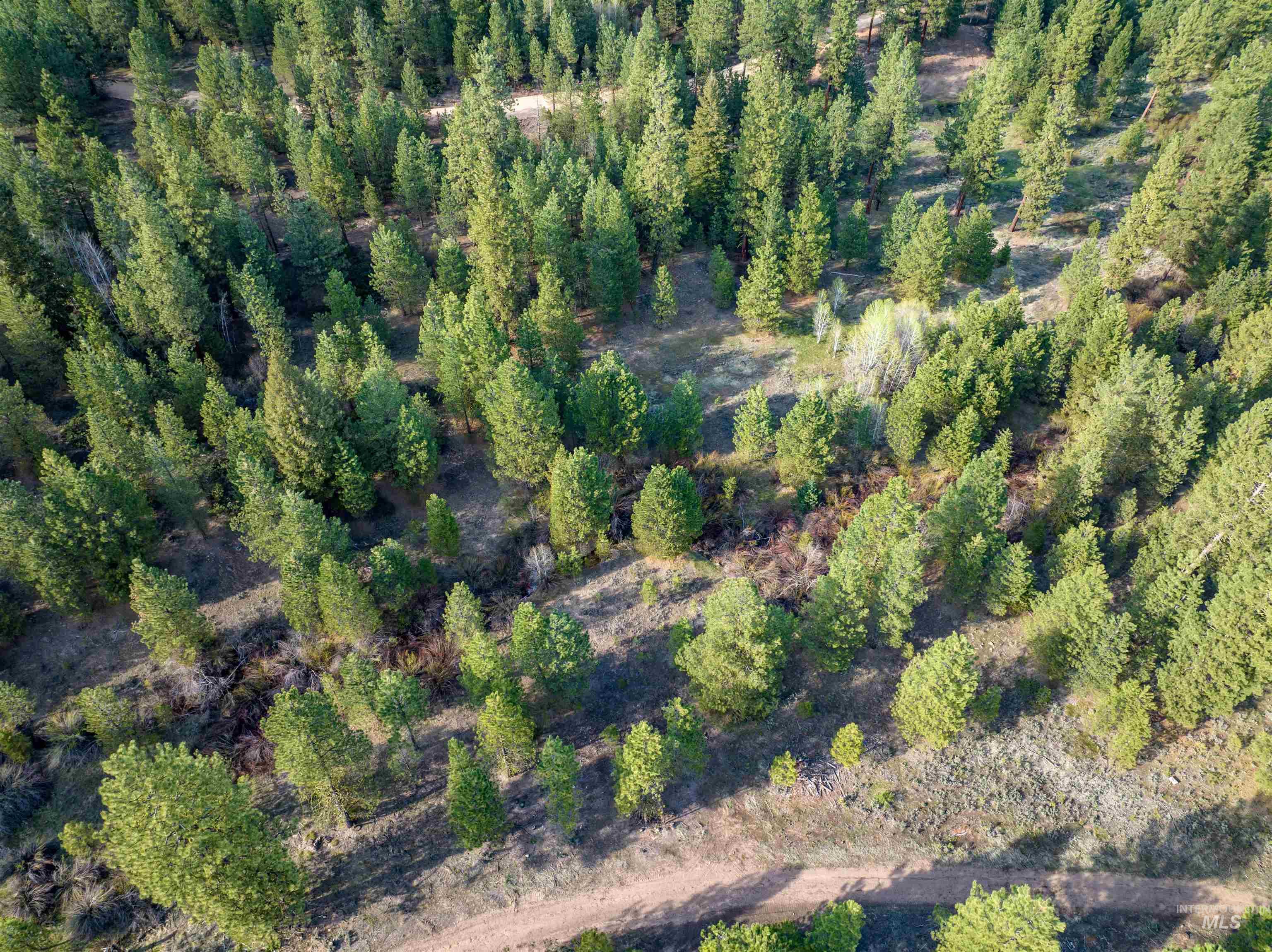 Lot 31 Trail Creek Ct Property Photo 1