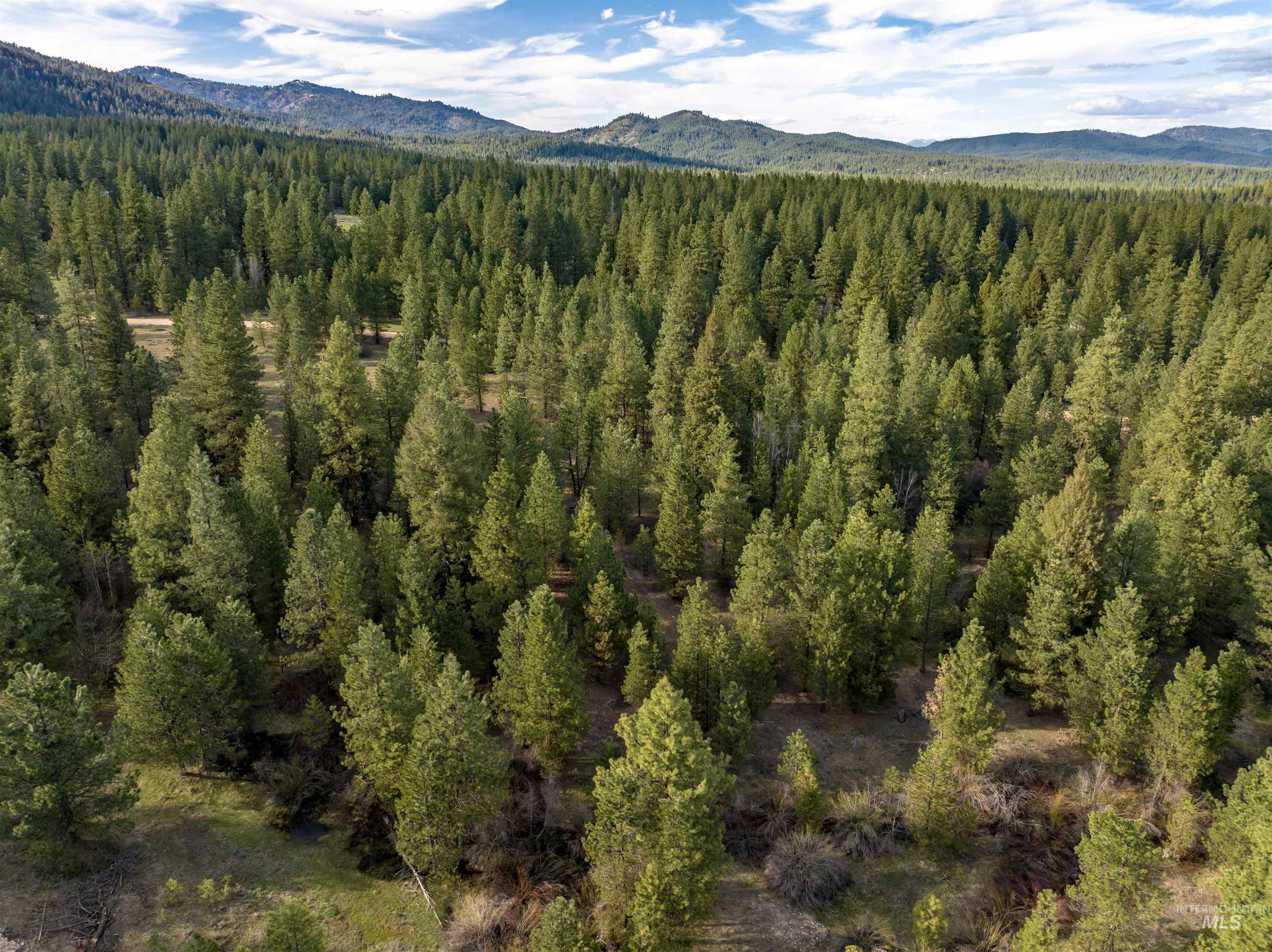 Lot 31 Trail Creek Ct Property Photo 2