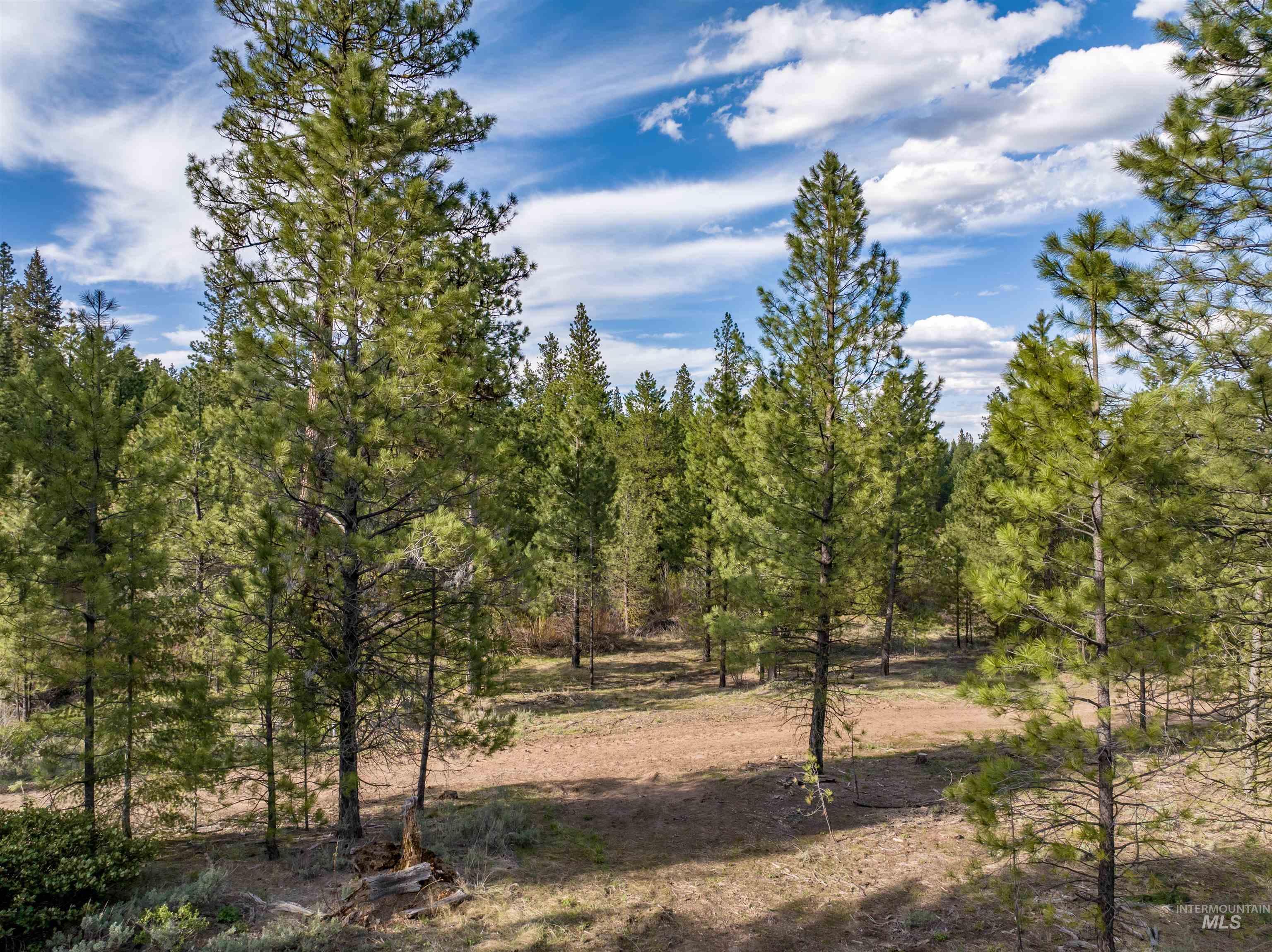 Lot 31 Trail Creek Ct Property Photo 11