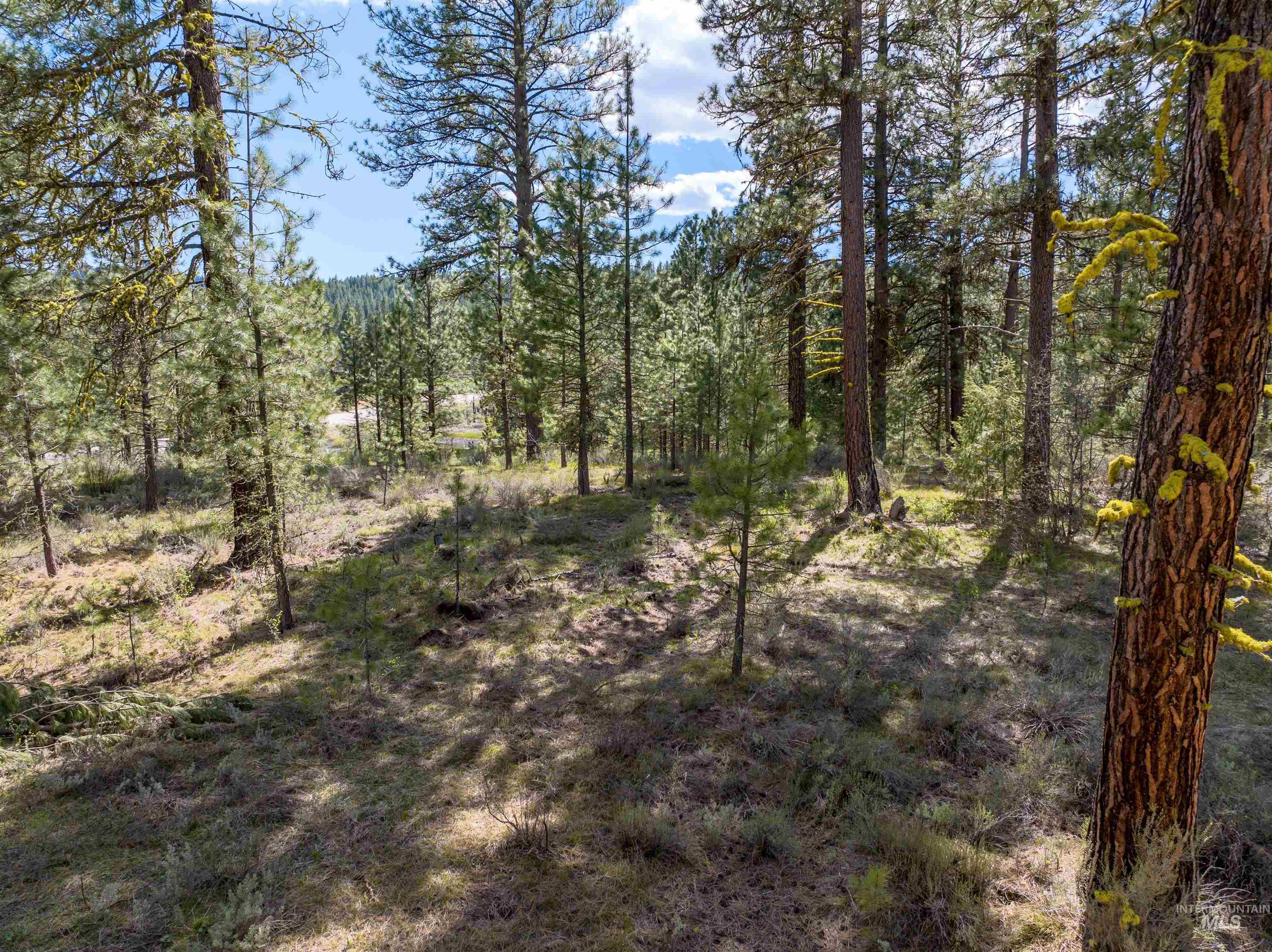 Lot 2 Star Creek Ct Property Photo 3