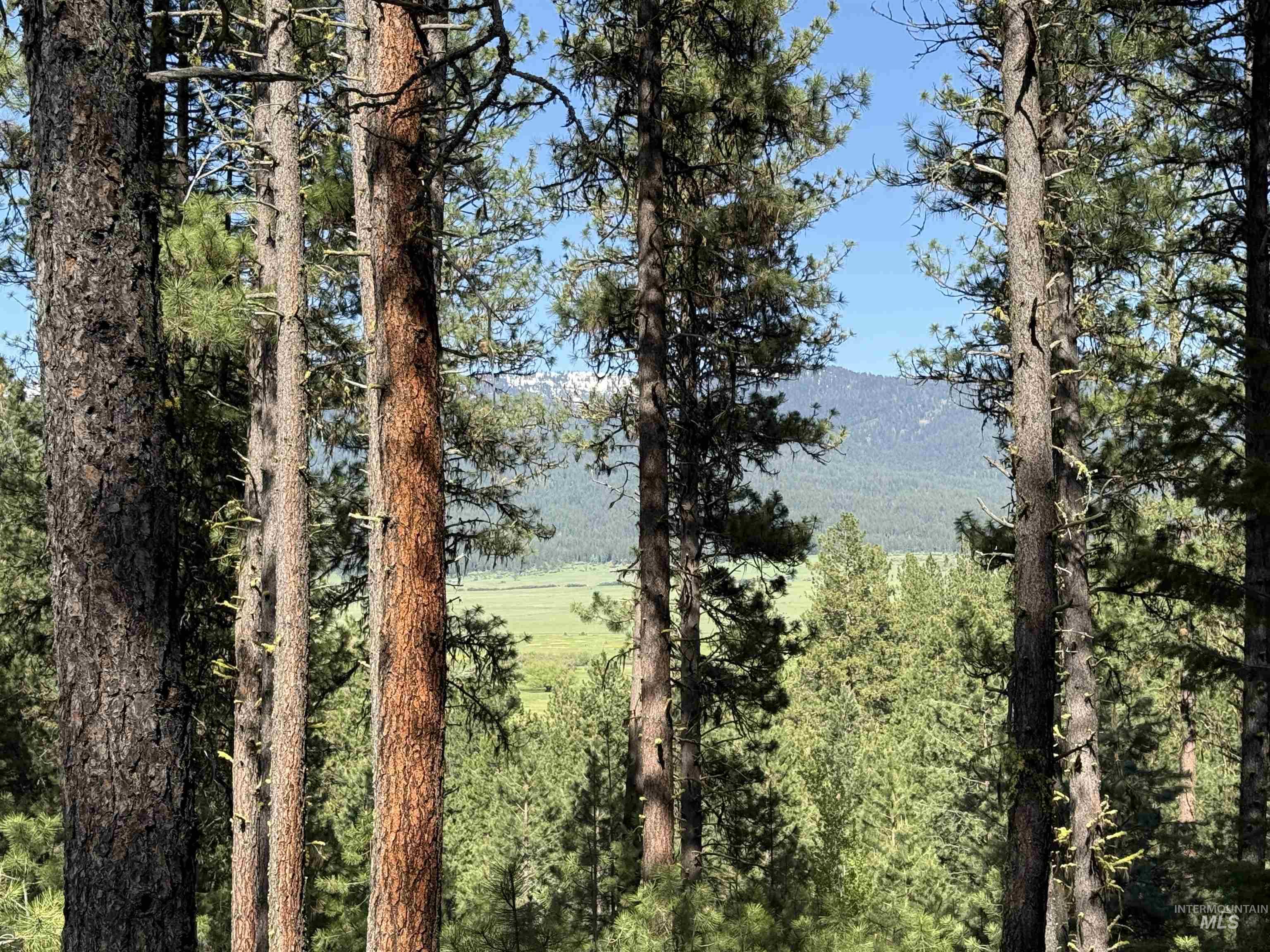 3951 Hot Springs Road Property Photo 1