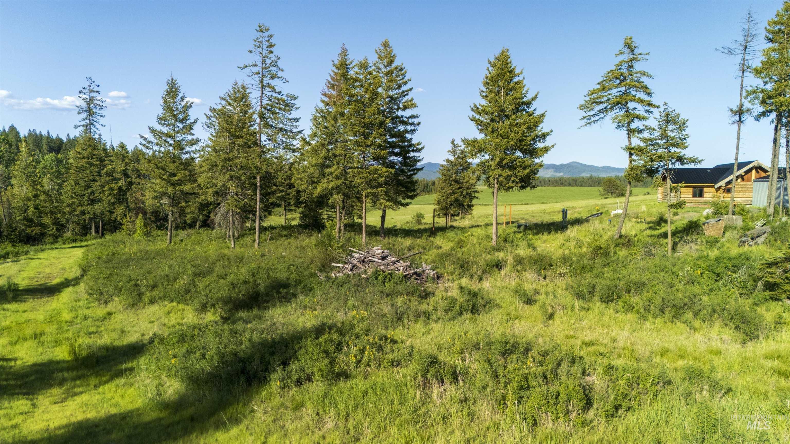 1008 Starview Lane Property Photo 29