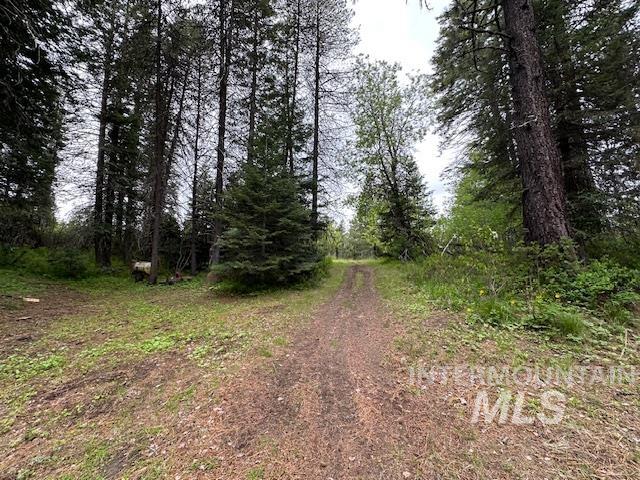 2087 Hwy 9 Property Photo 39