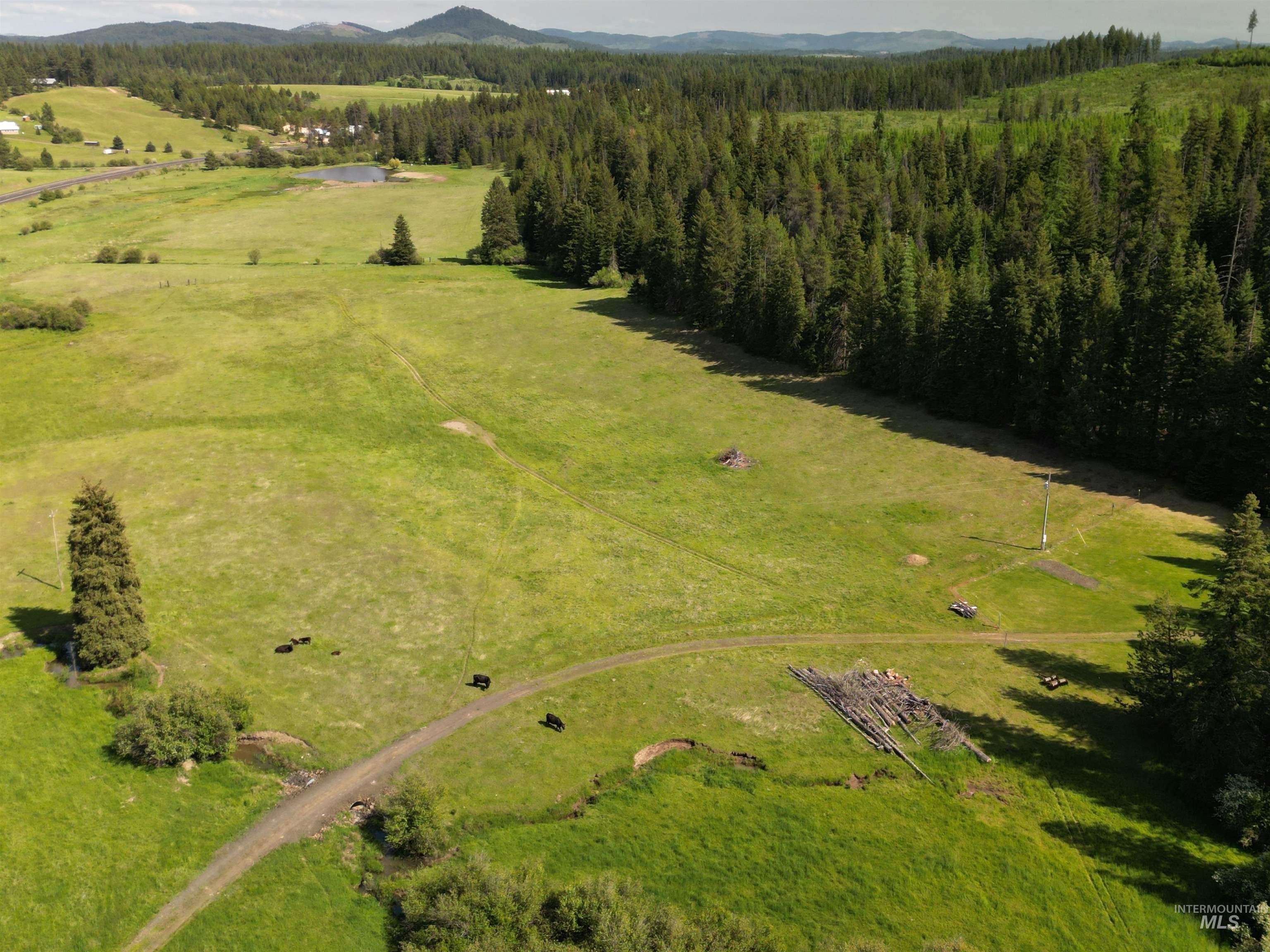 2087 Hwy 9 Property Photo 44