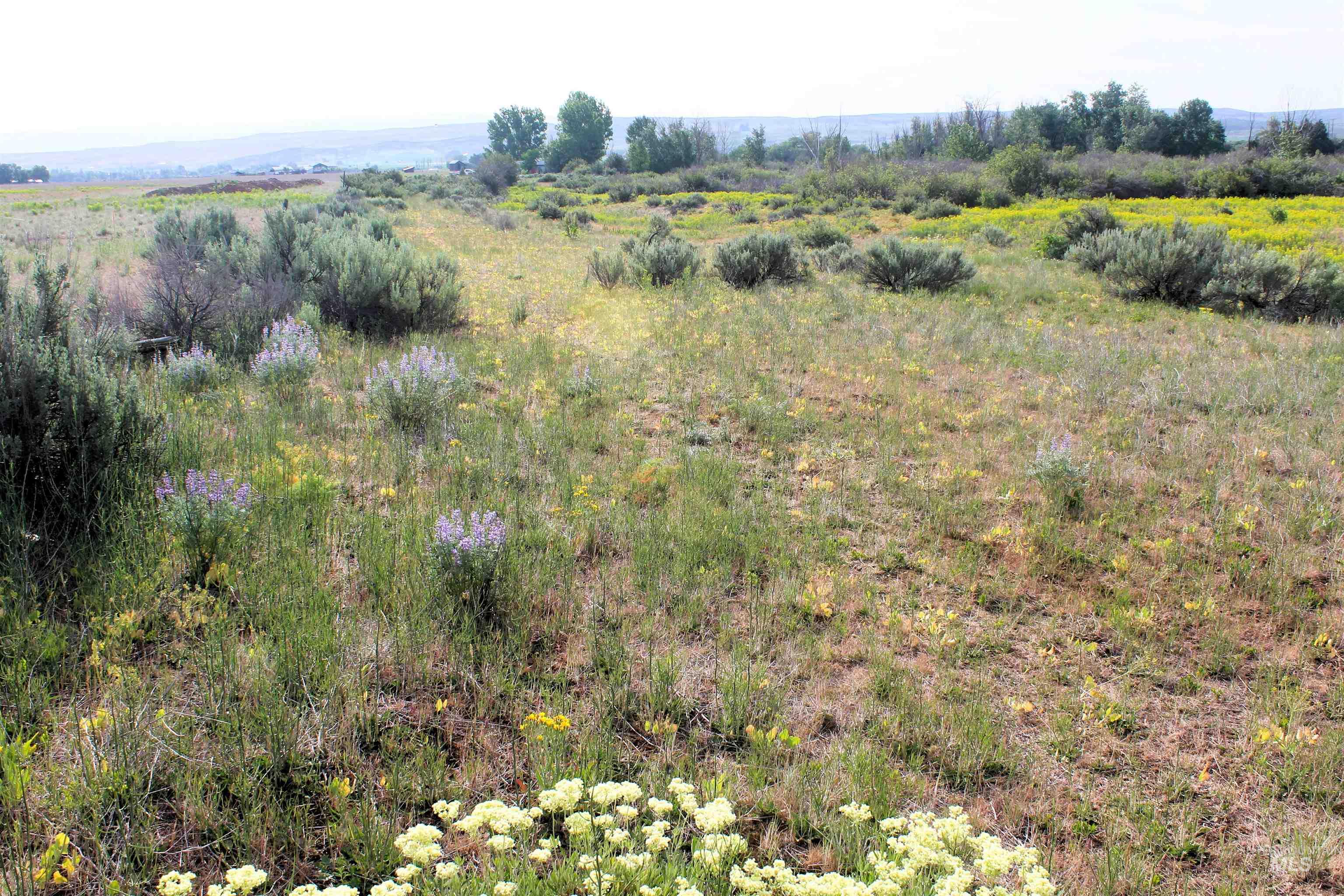 Tbd Sage Creek Rd. (parcel A) Property Photo 26