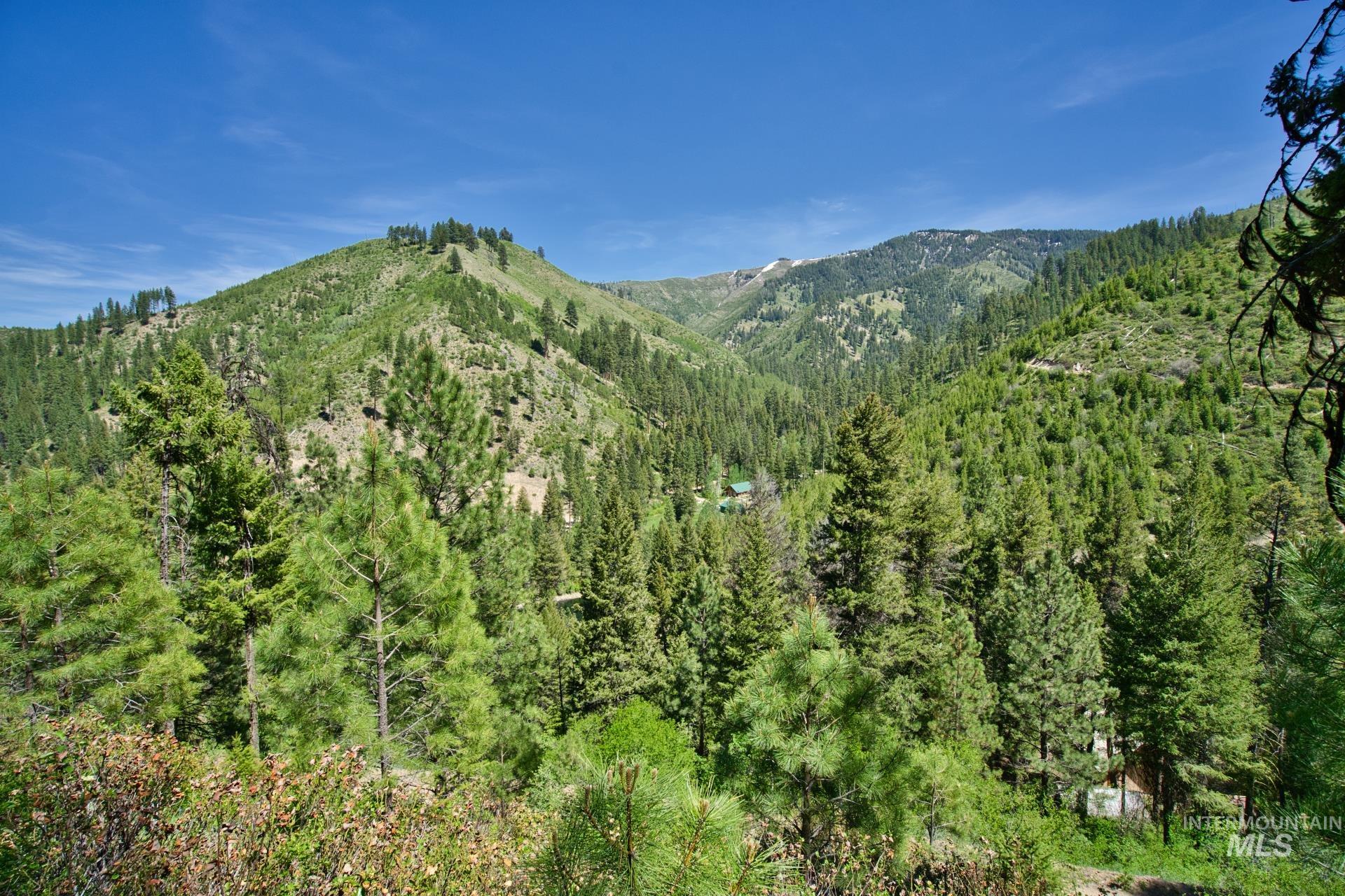 Tbd Forest Service Road 542 Property Photo 1