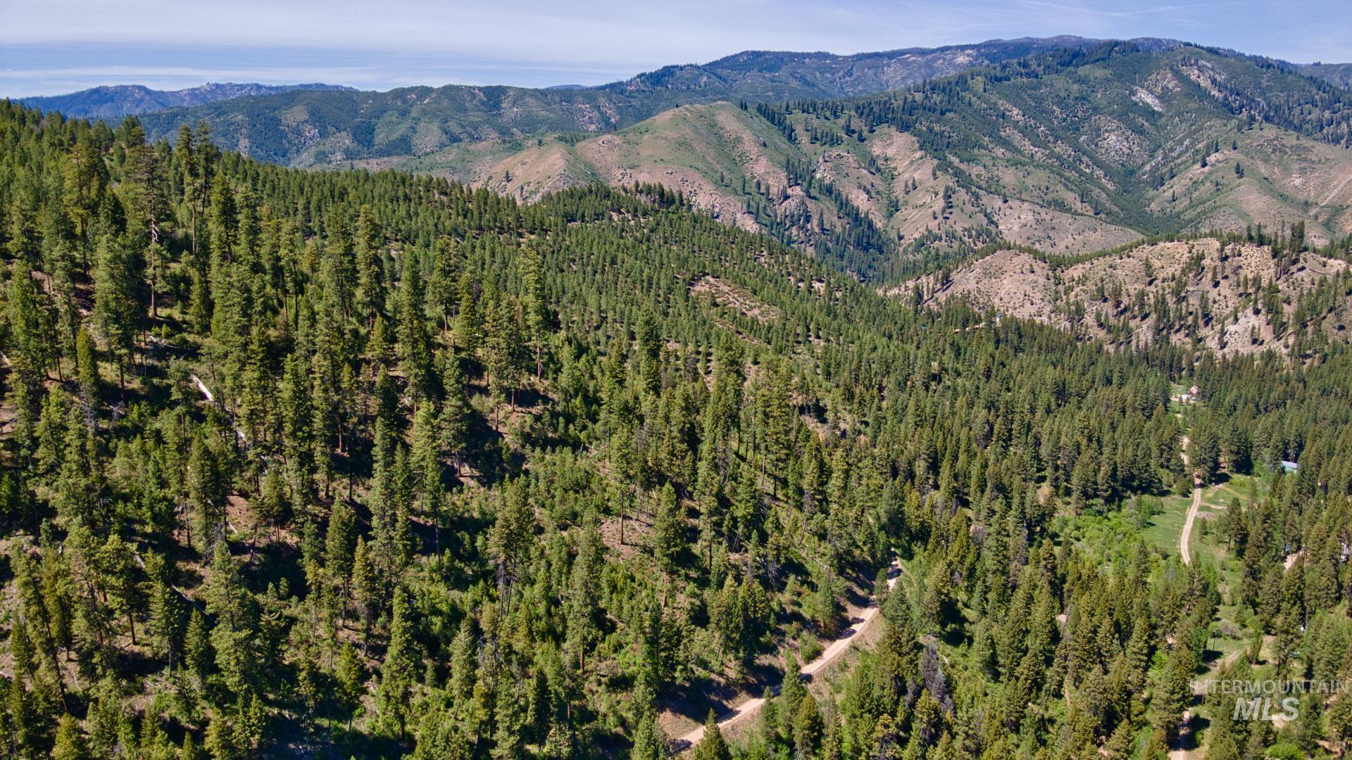 Tbd Forest Service Road 542 Property Photo 2