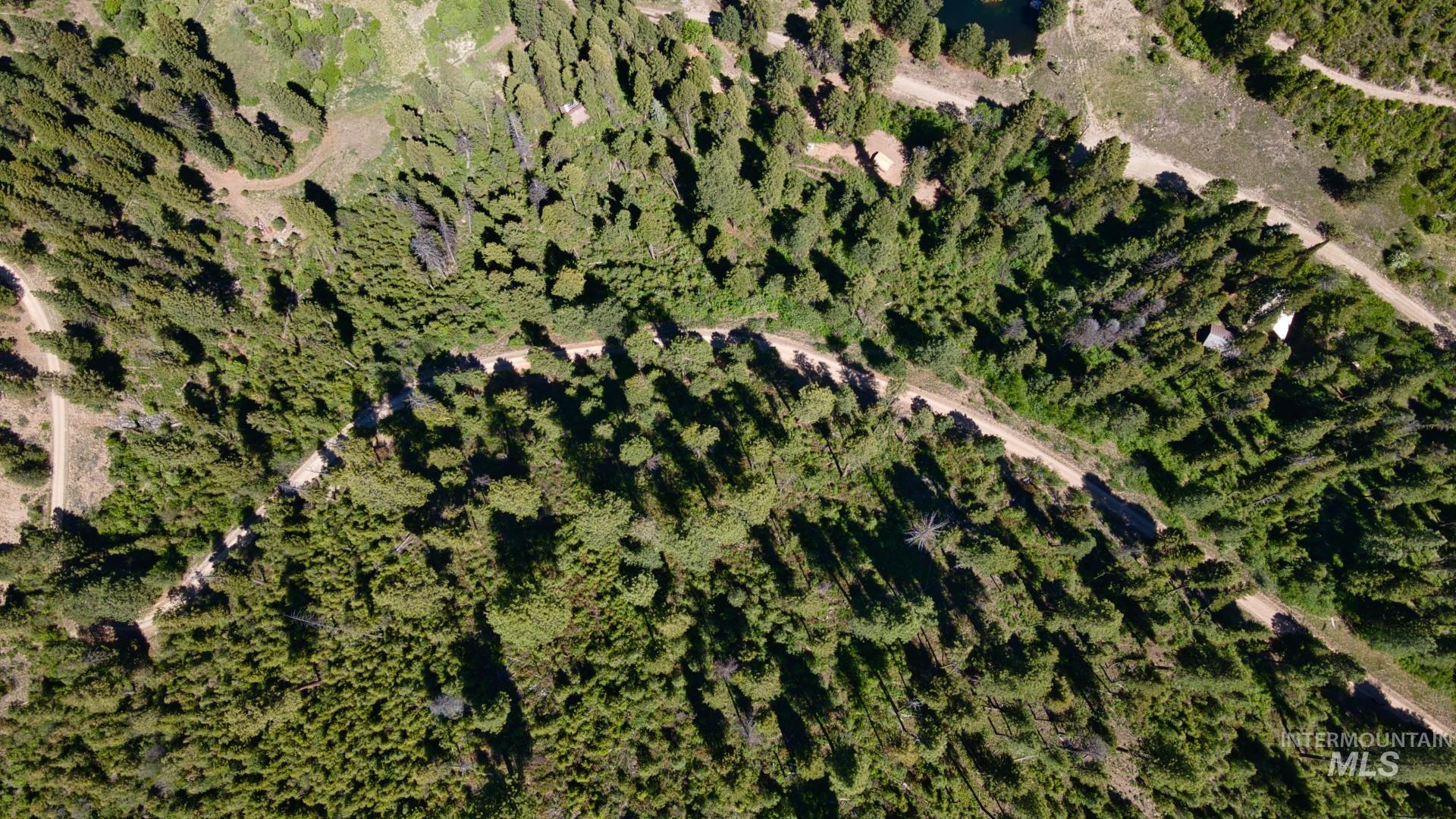 Tbd Forest Service Road 542 Property Photo 4
