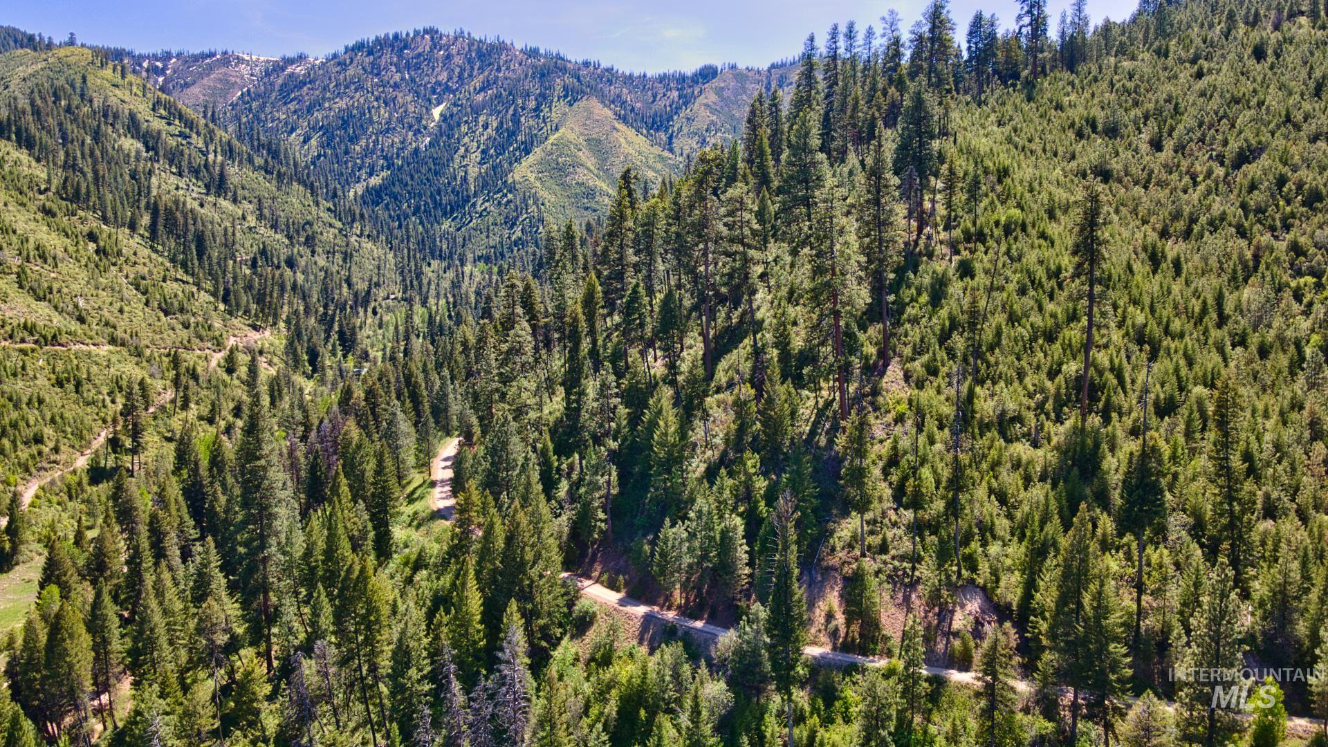 Tbd Forest Service Road 542 Property Photo 6