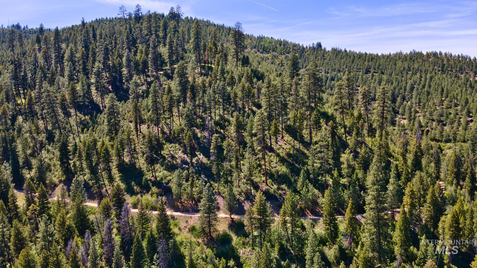 Tbd Forest Service Road 542 Property Photo 7