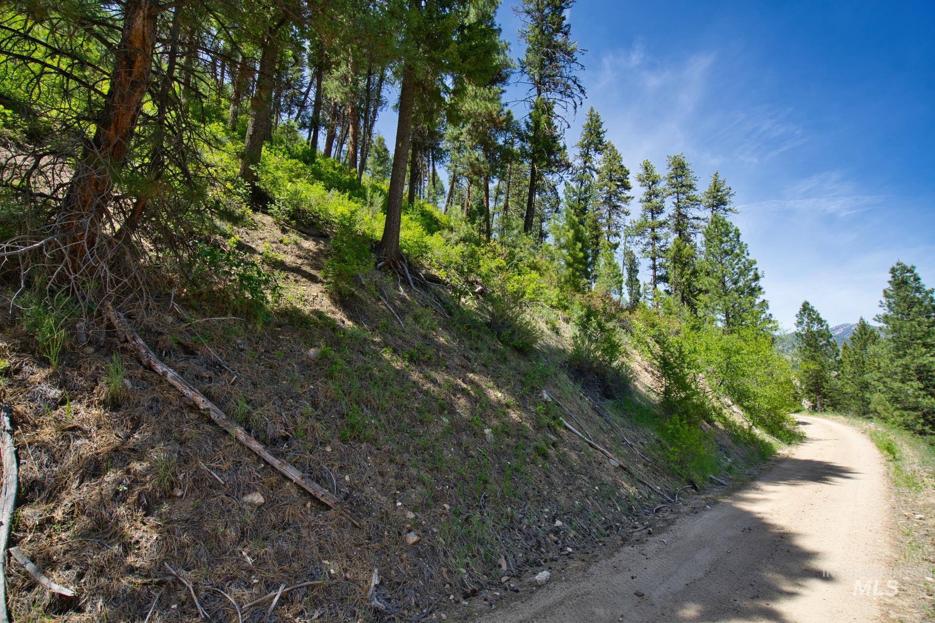 Tbd Forest Service Road 542 Property Photo 8