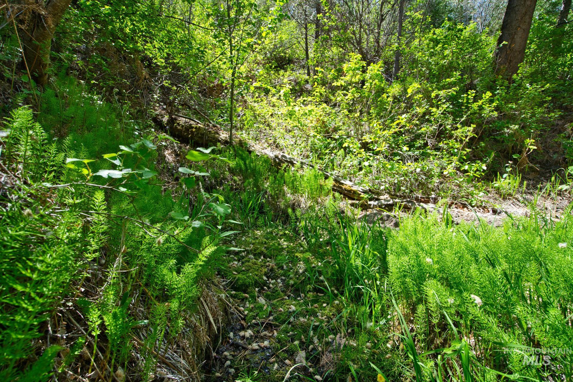 Tbd Forest Service Road 542 Property Photo 10